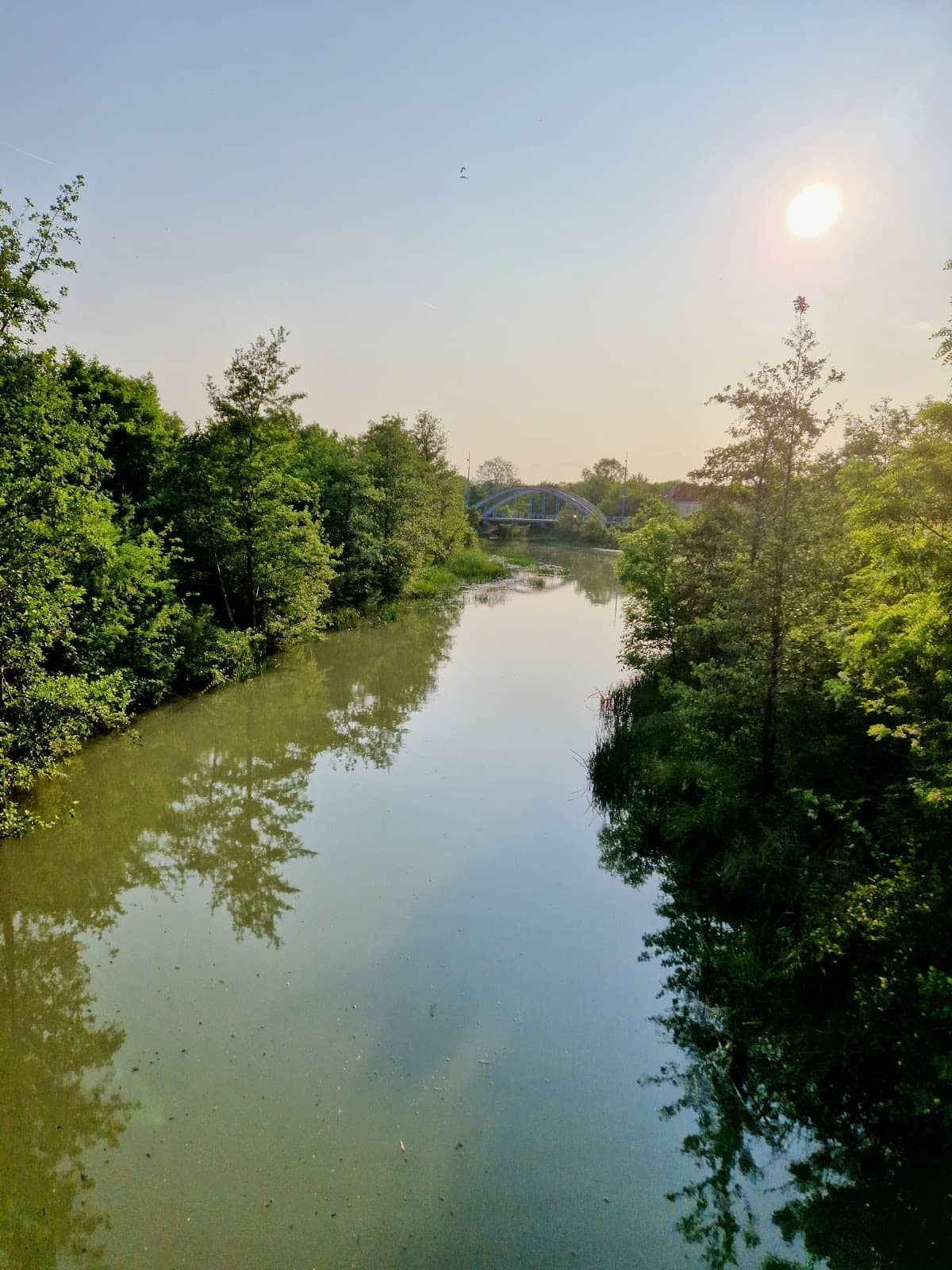 Flat, Accessible Paths