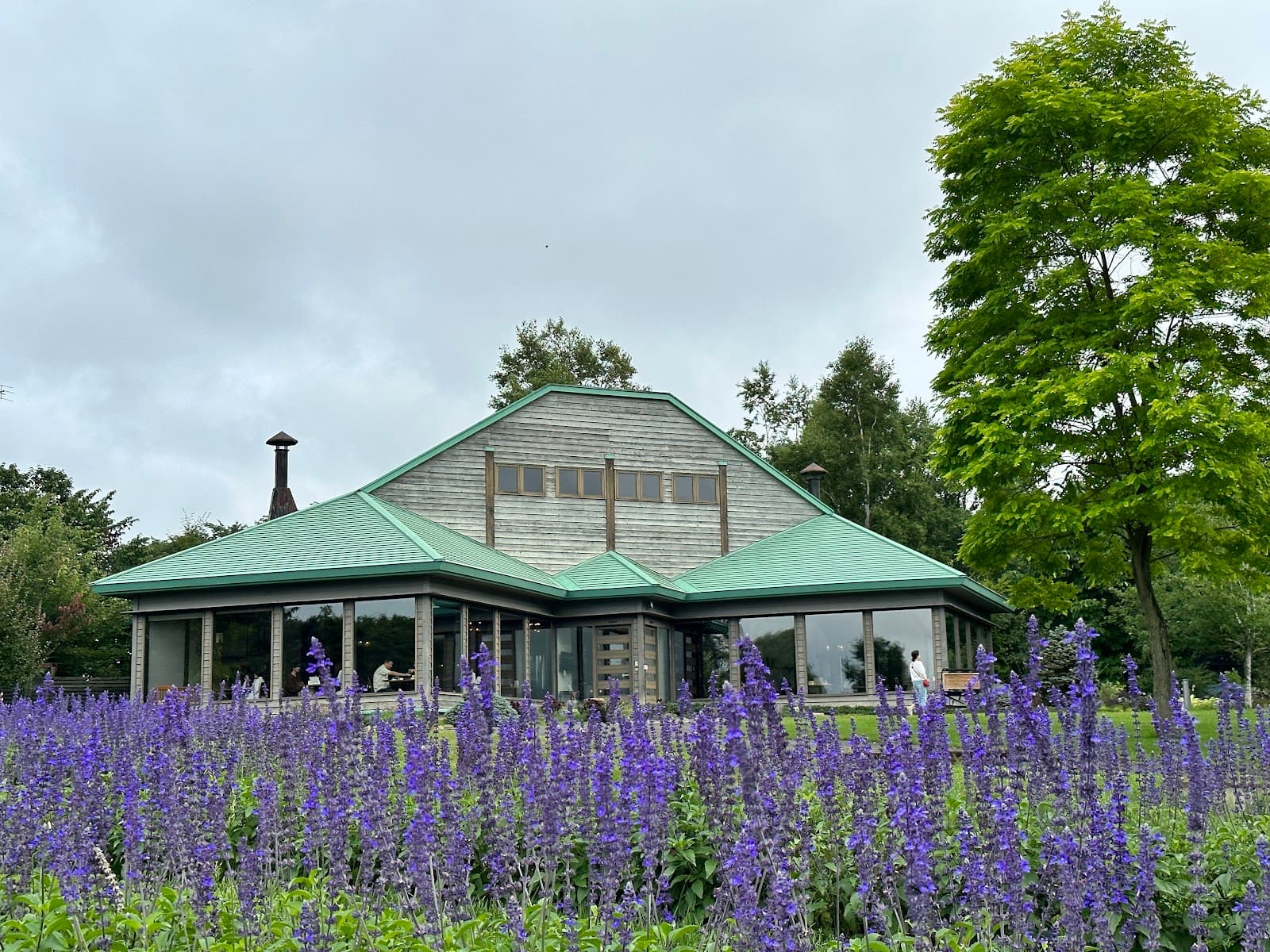 Tokachi Hills - Image 1
