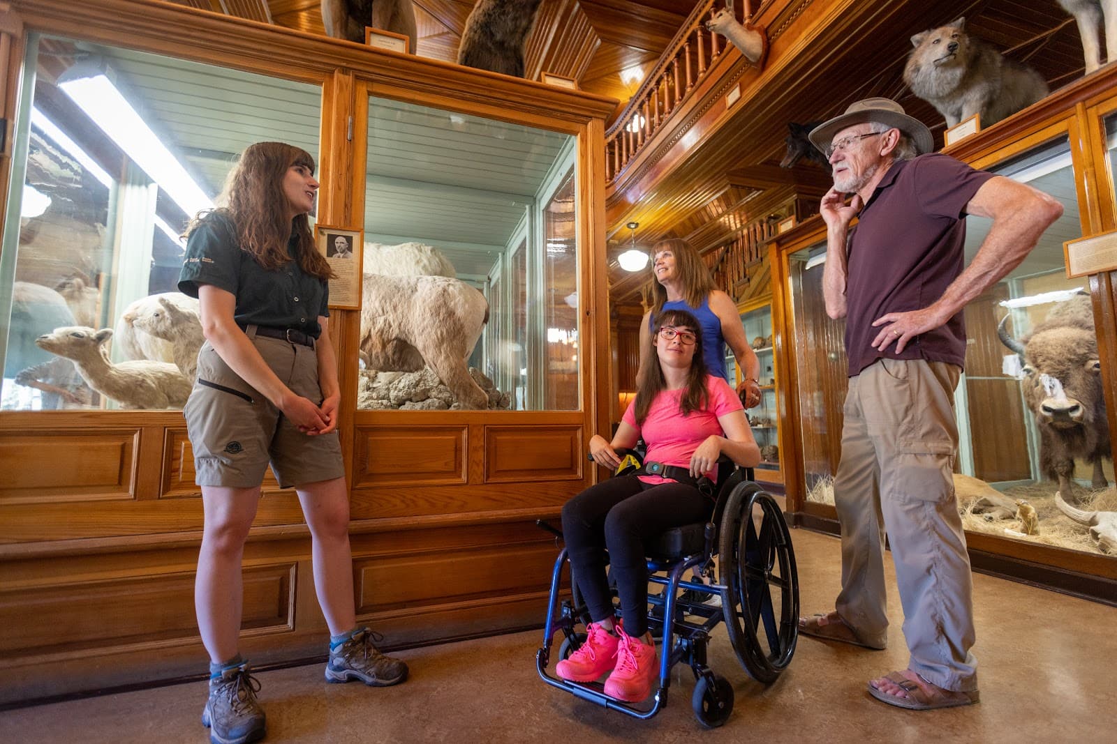 Banff Park Museum National Historic Site - Image 1