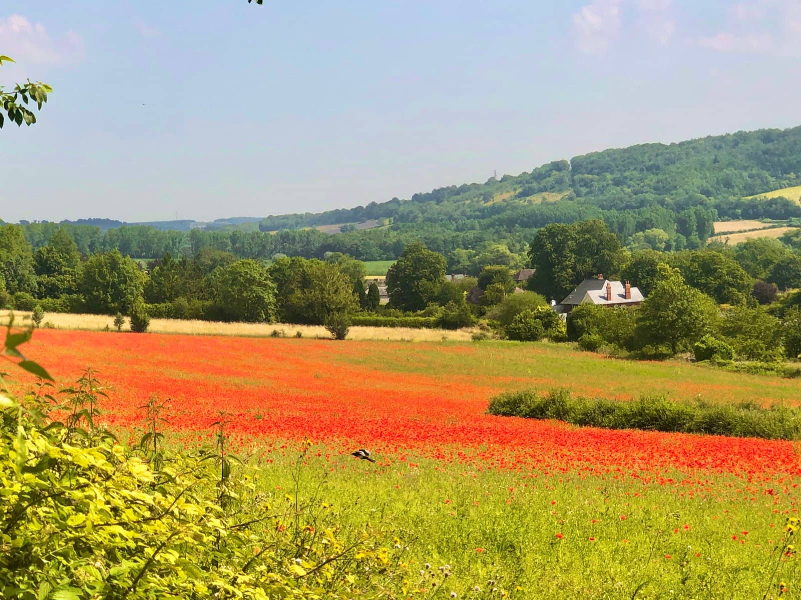 Peaceful Resting Spots