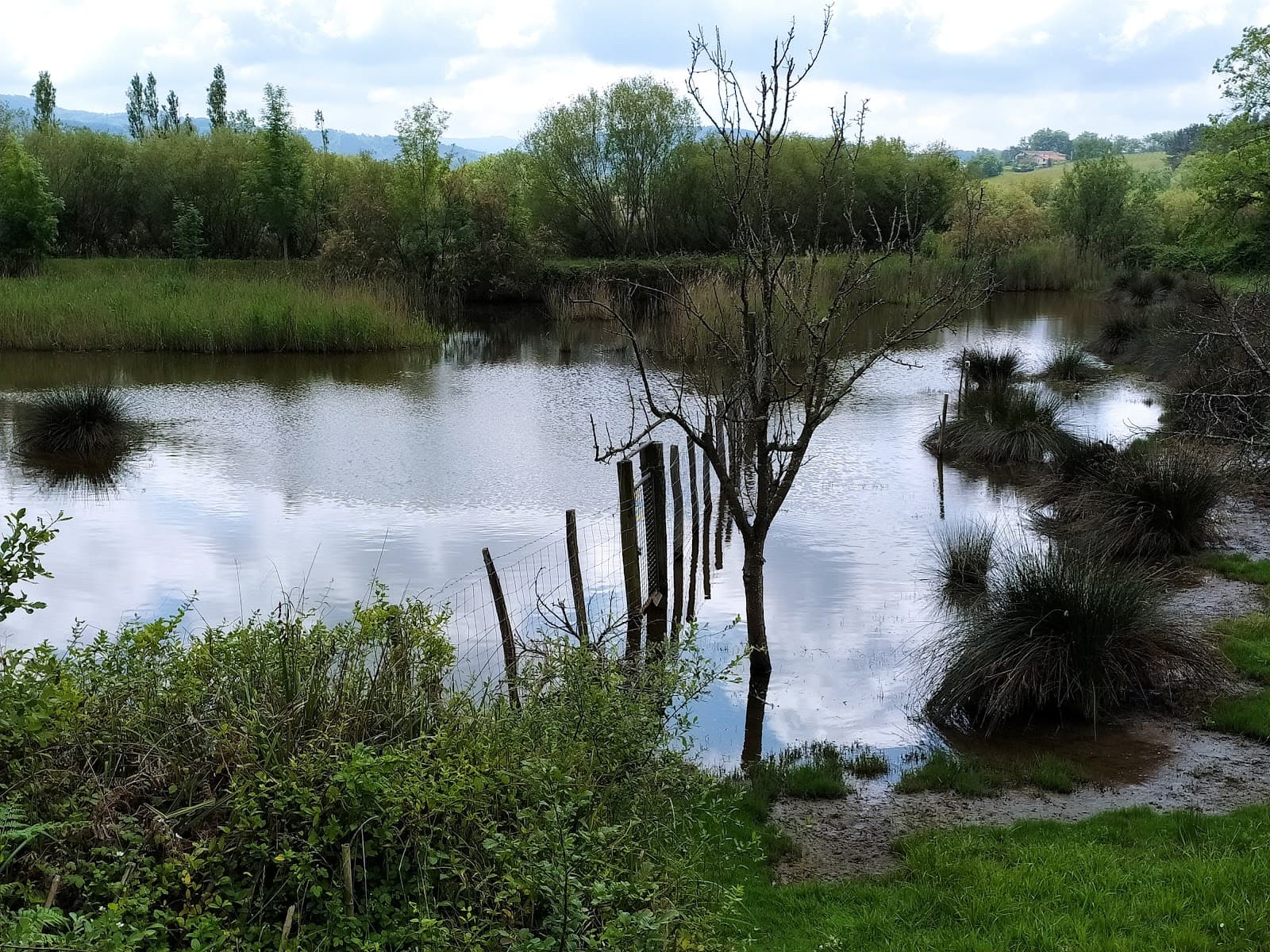 Jaizubia Marshes - Image 1