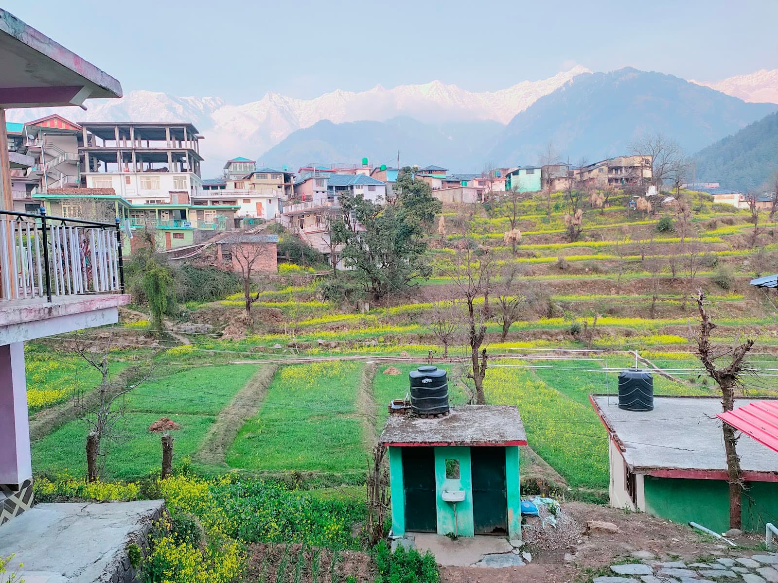 Pong Dam Lake Maharana Pratap Sagar - Image 1