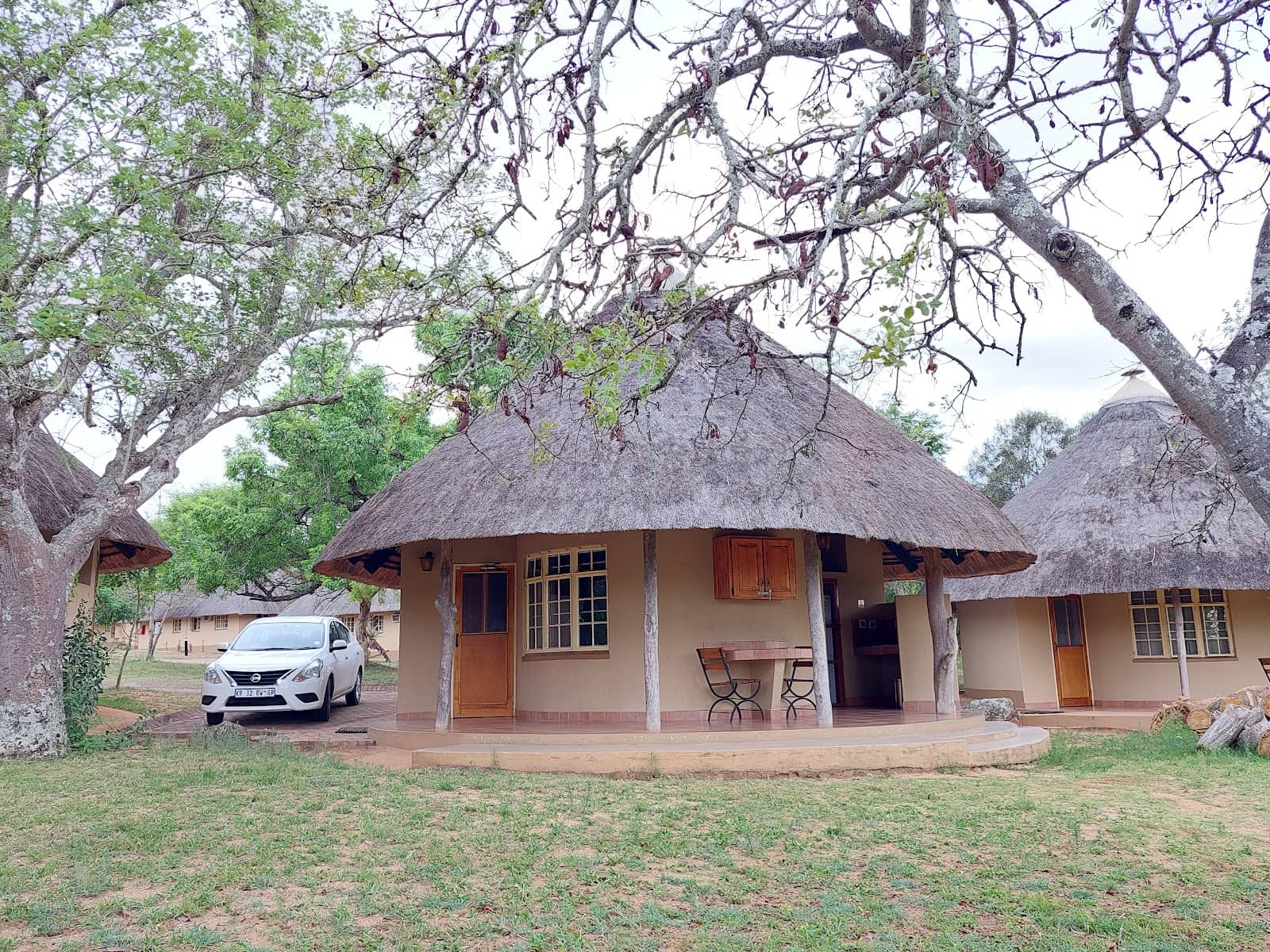 Guided Bush Walks