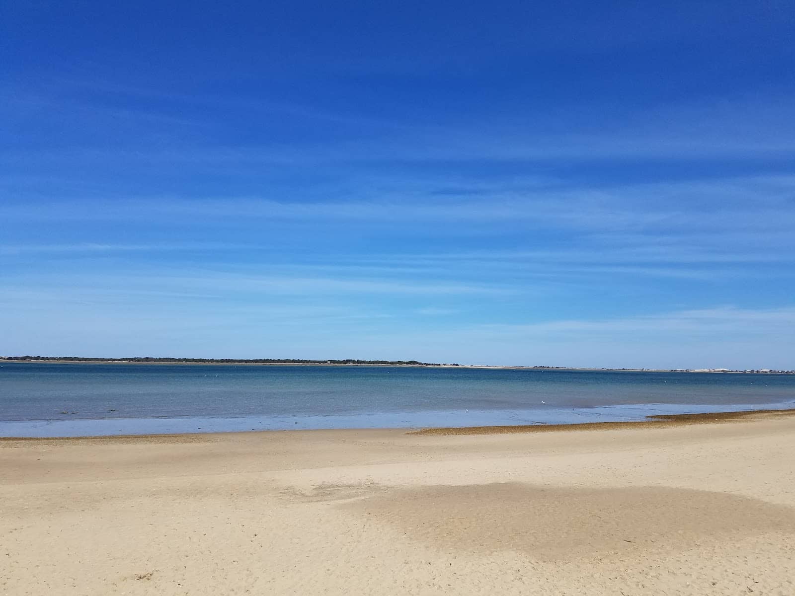 Coastal Ecosystem Study