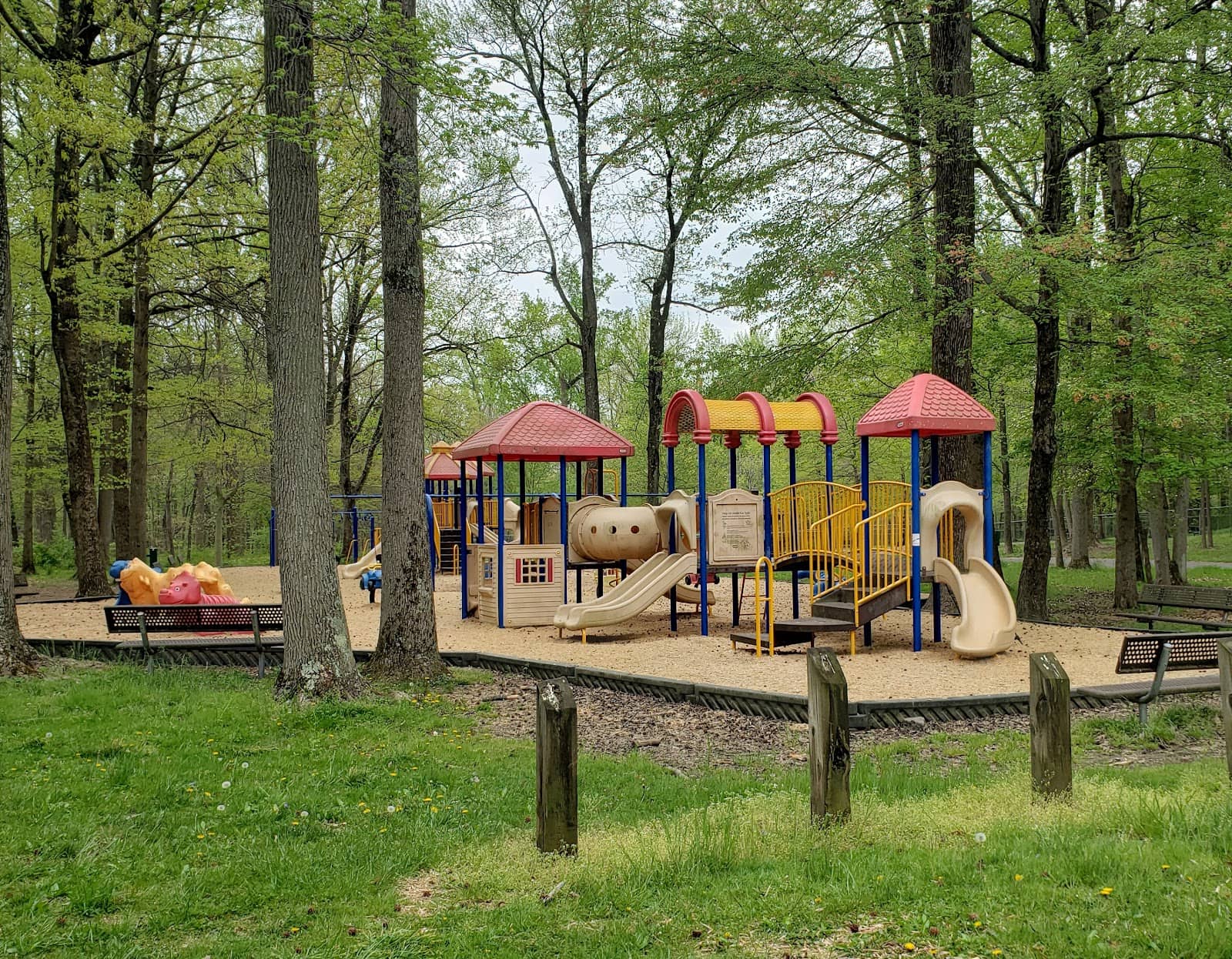 Dog Park