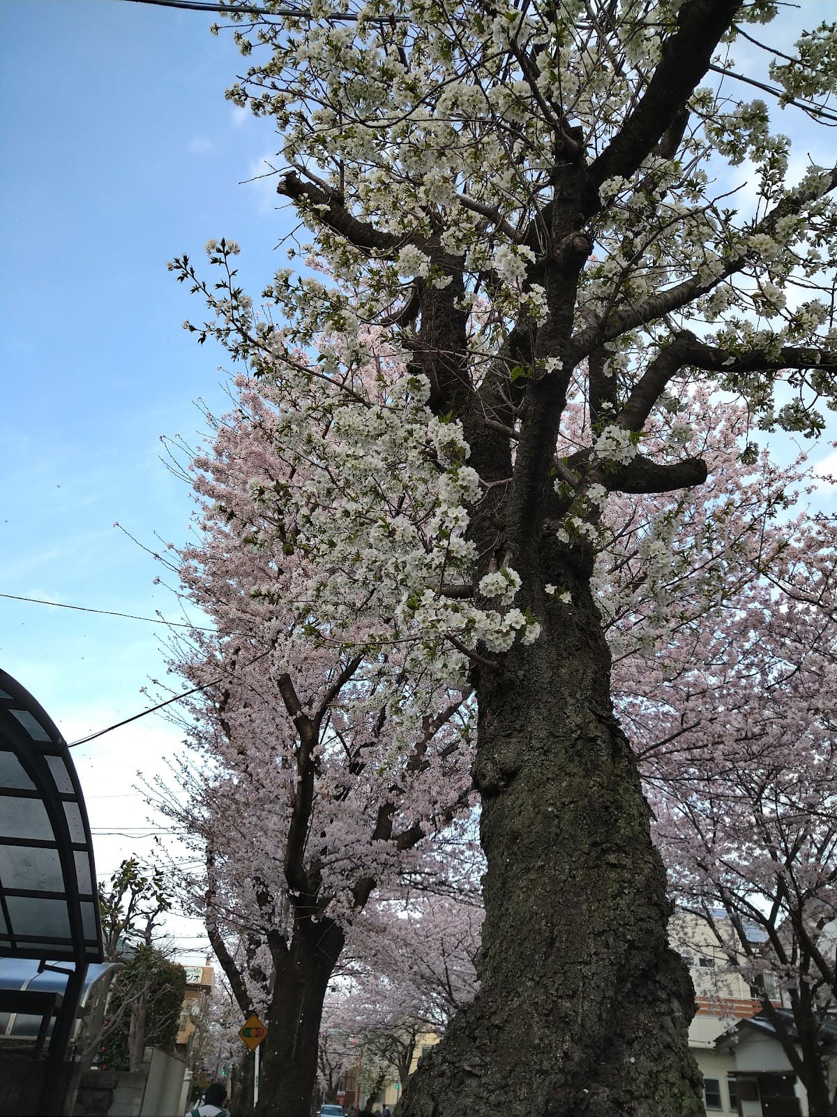 Tokiwadaira - Image 1