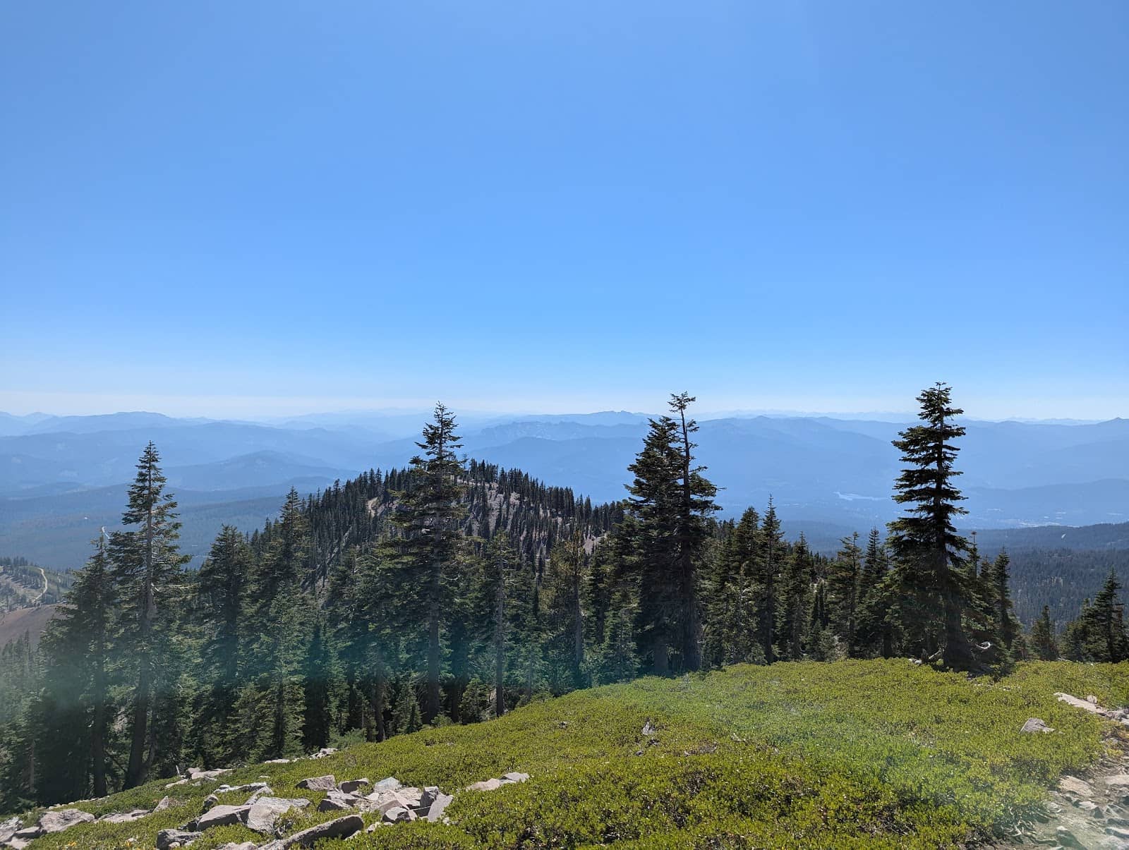 Dog-Friendly Exploration