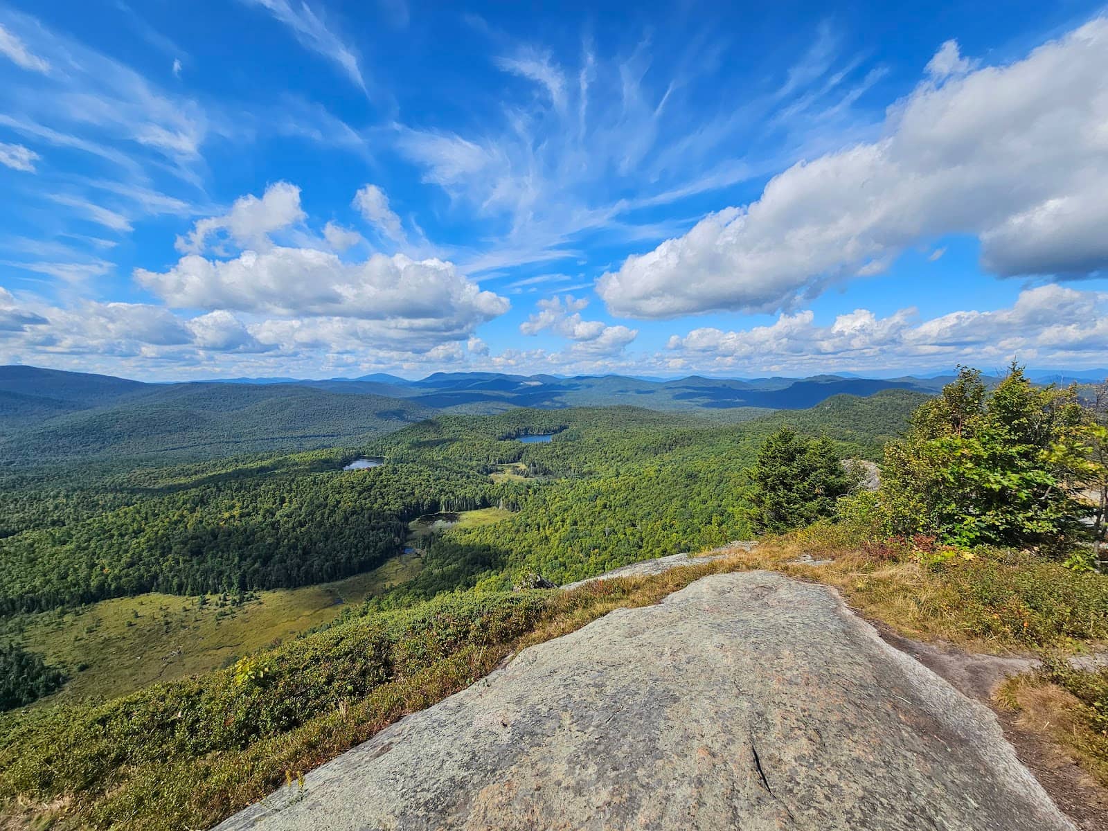 Mossy Glacial Boulders