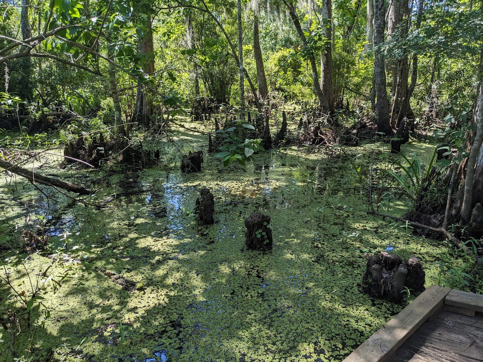 Barataria Preserve Visitor Center - Image 1