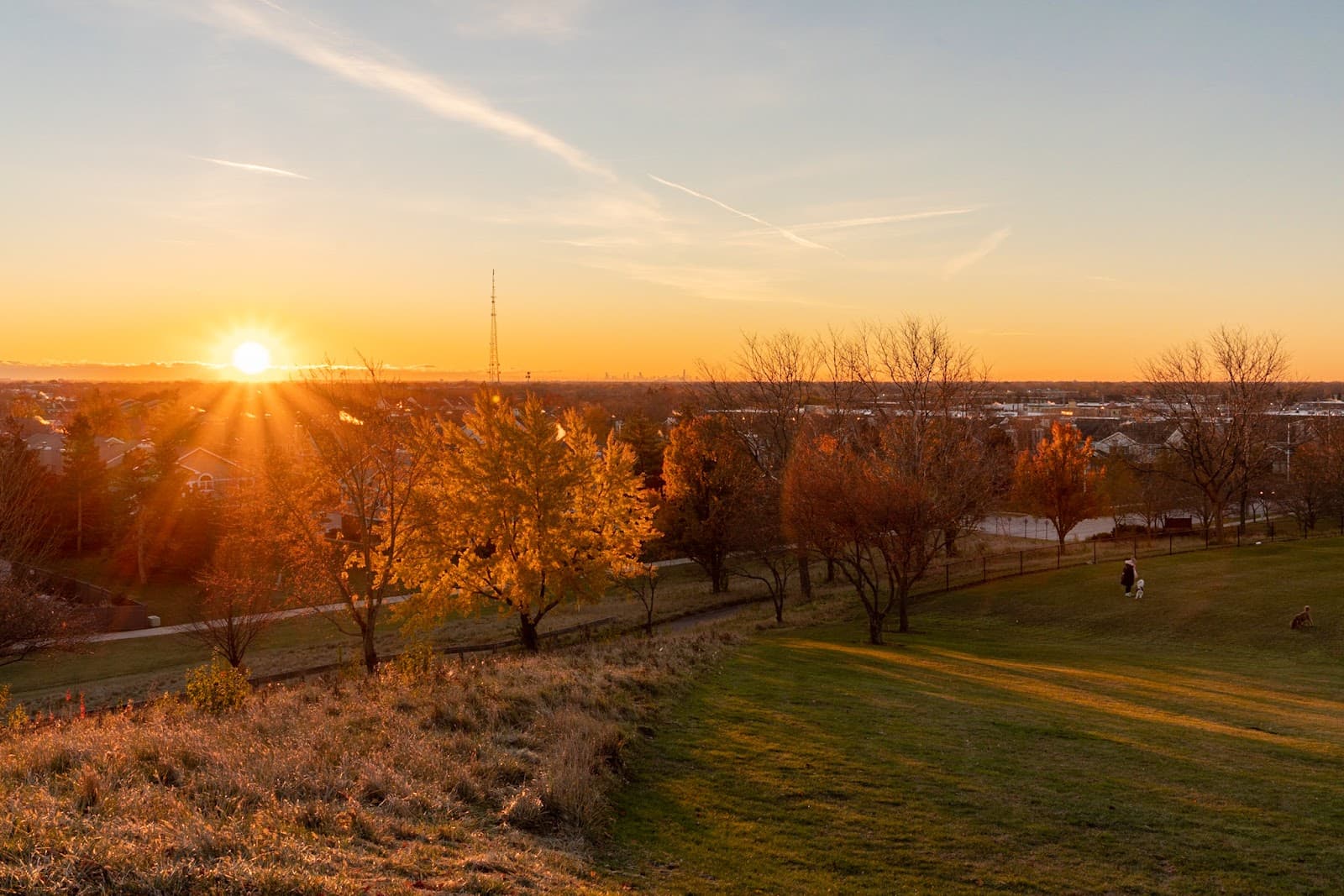 Nickol Knoll Park (Sled Hill) - Image 1