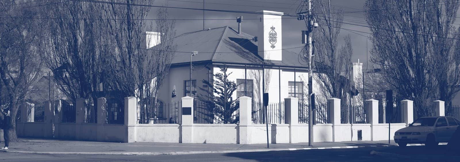 Paleontological Section