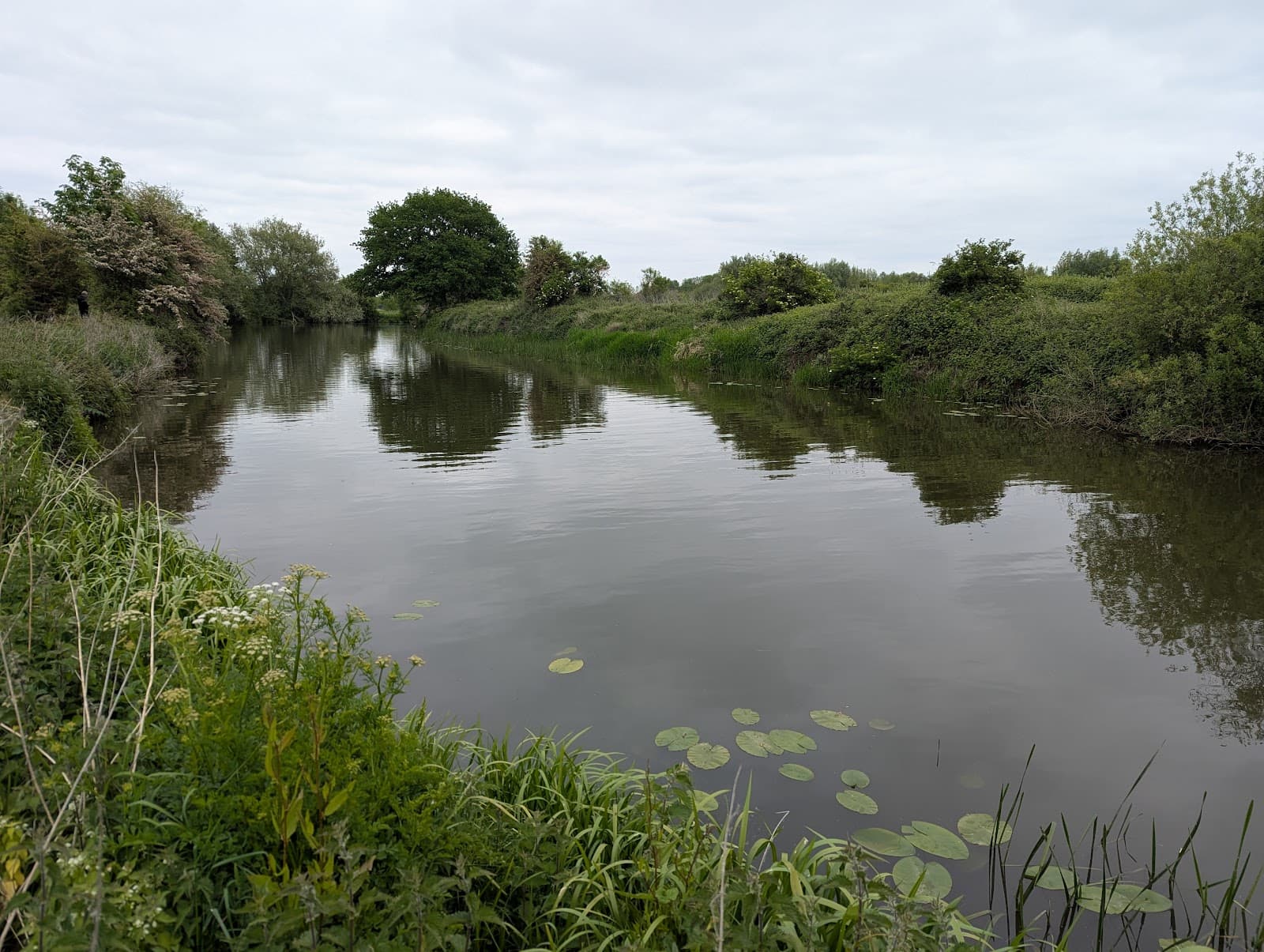 Medway Riverside Walk (Tonbridge) - Image 1