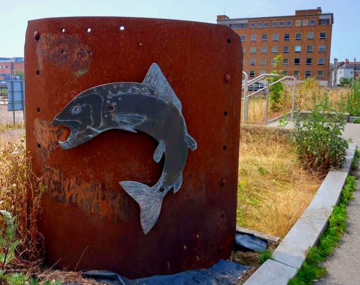 Hull Fish Trail - Image 1