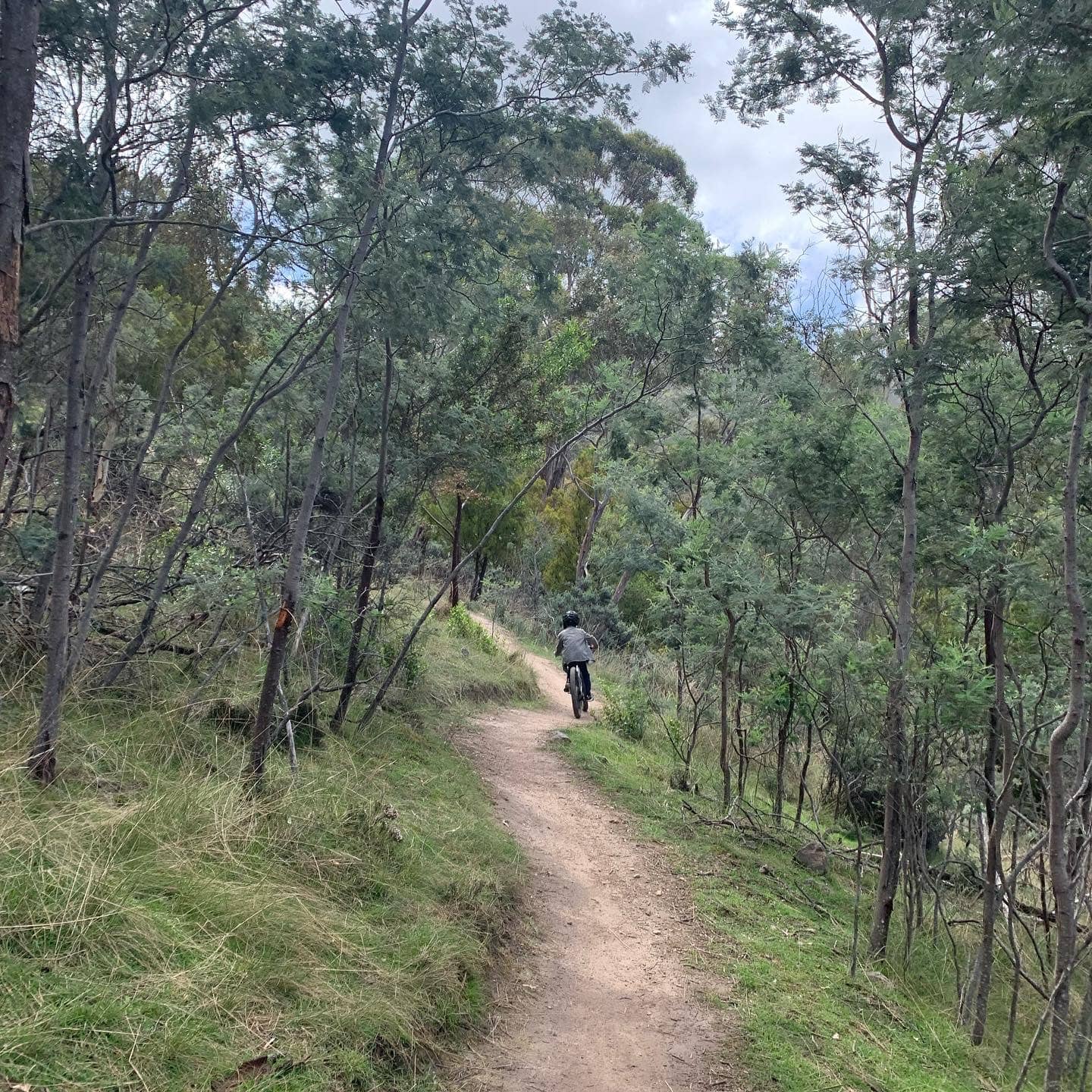 XC & Enduro Trails