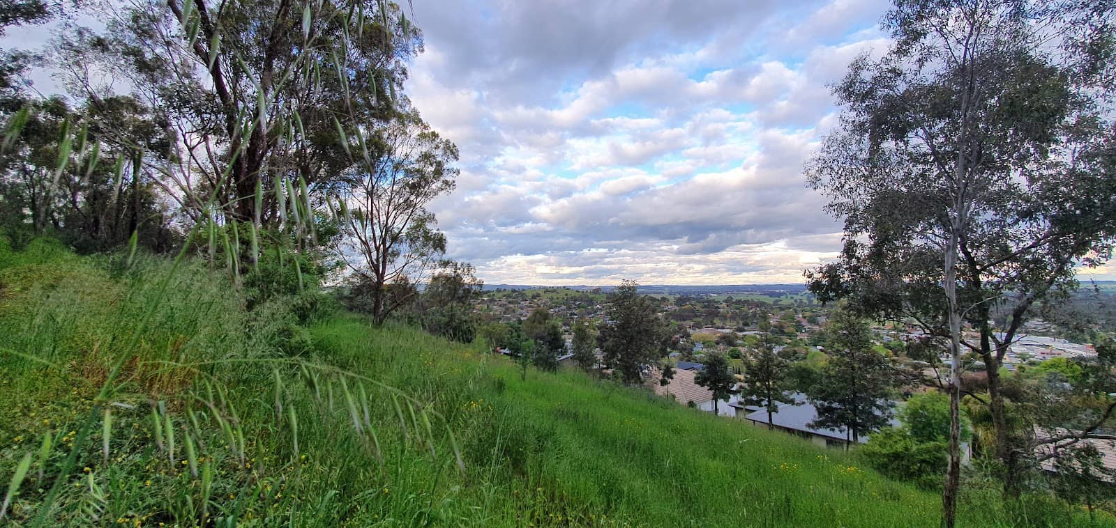Willans Hill Reserve Trails