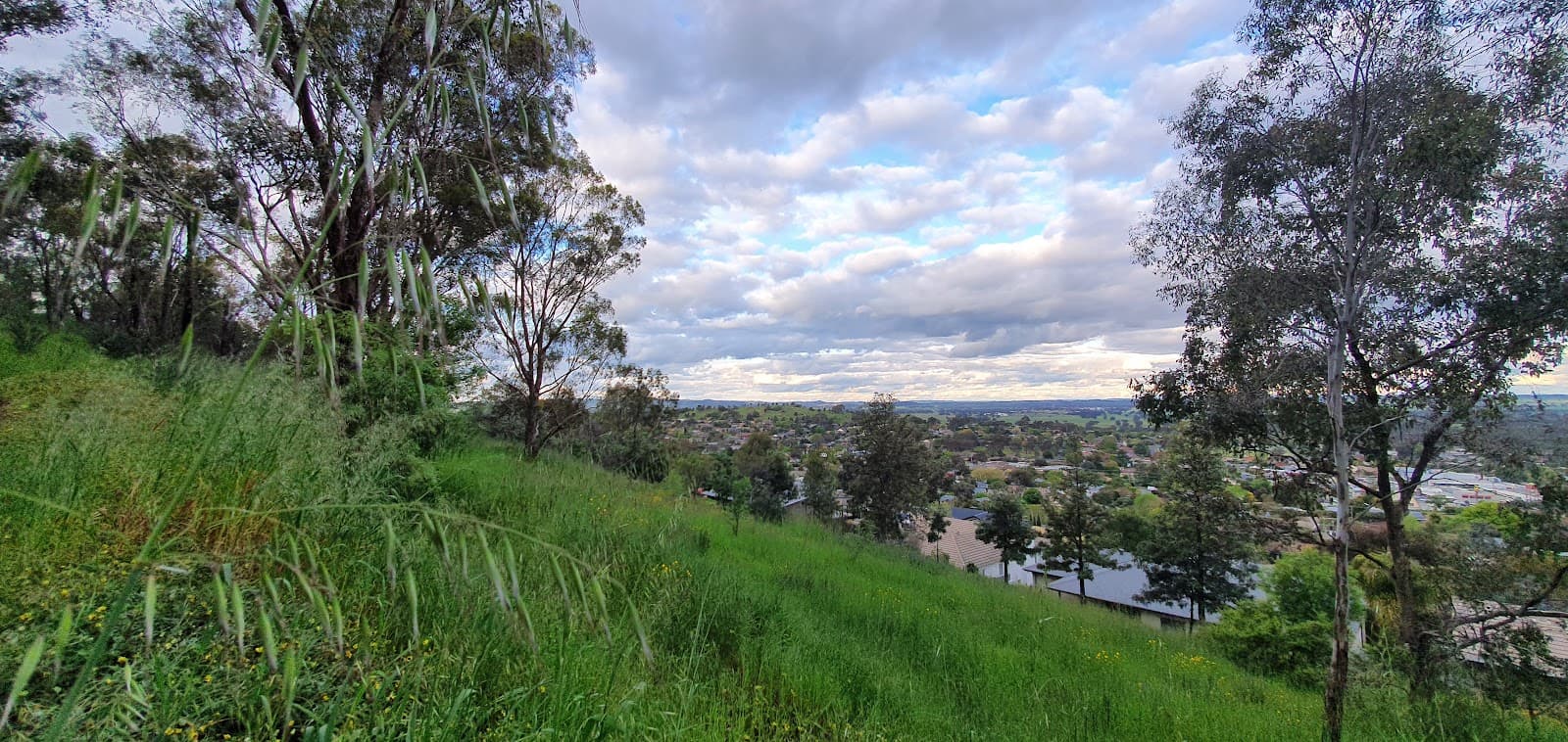 Willans Hill Lookout - Image 1