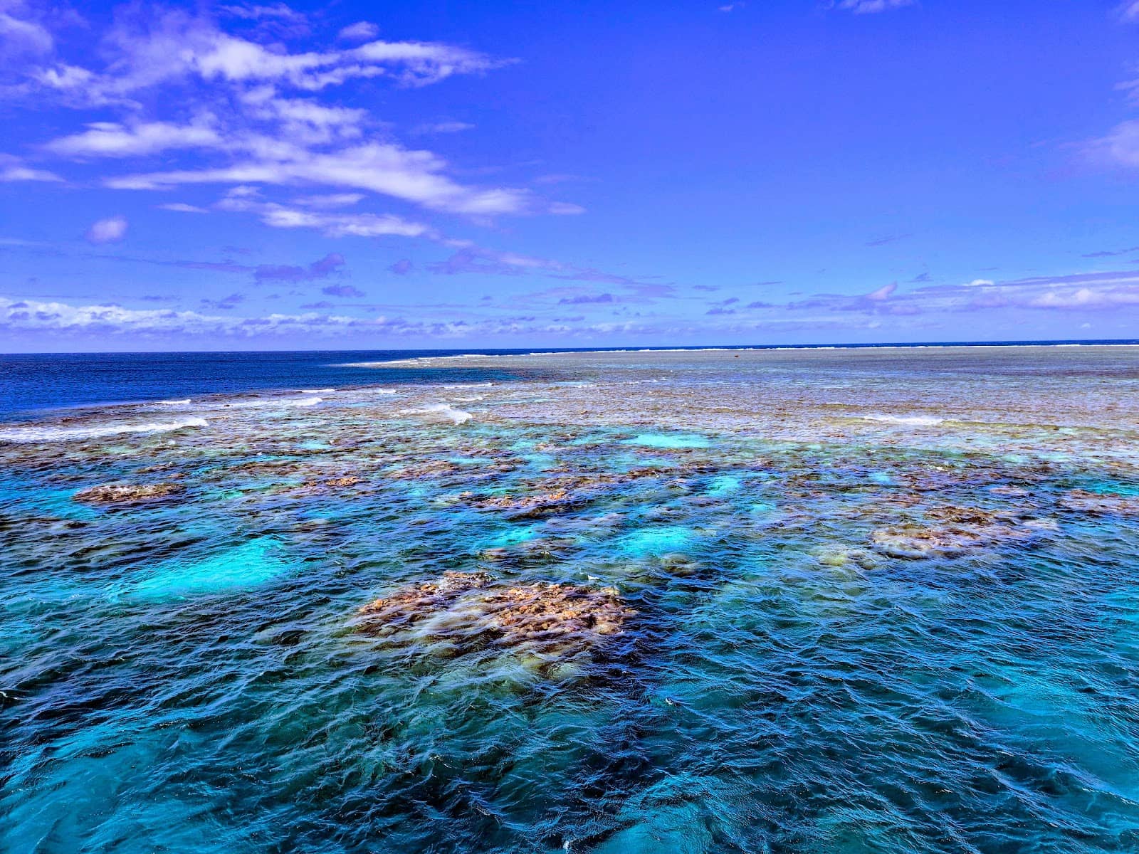 Coral Spawning Spectacle