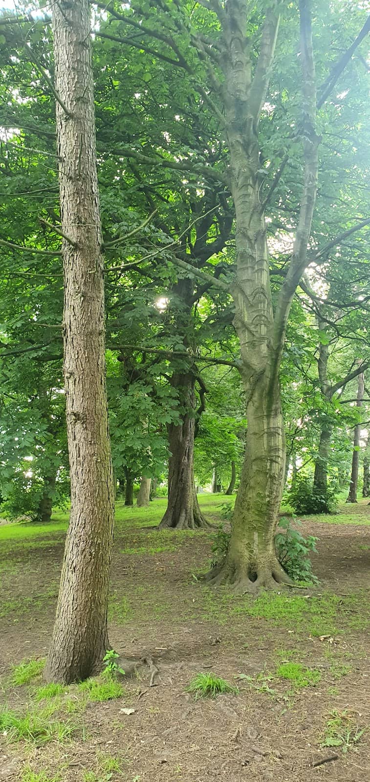 Vertical photo