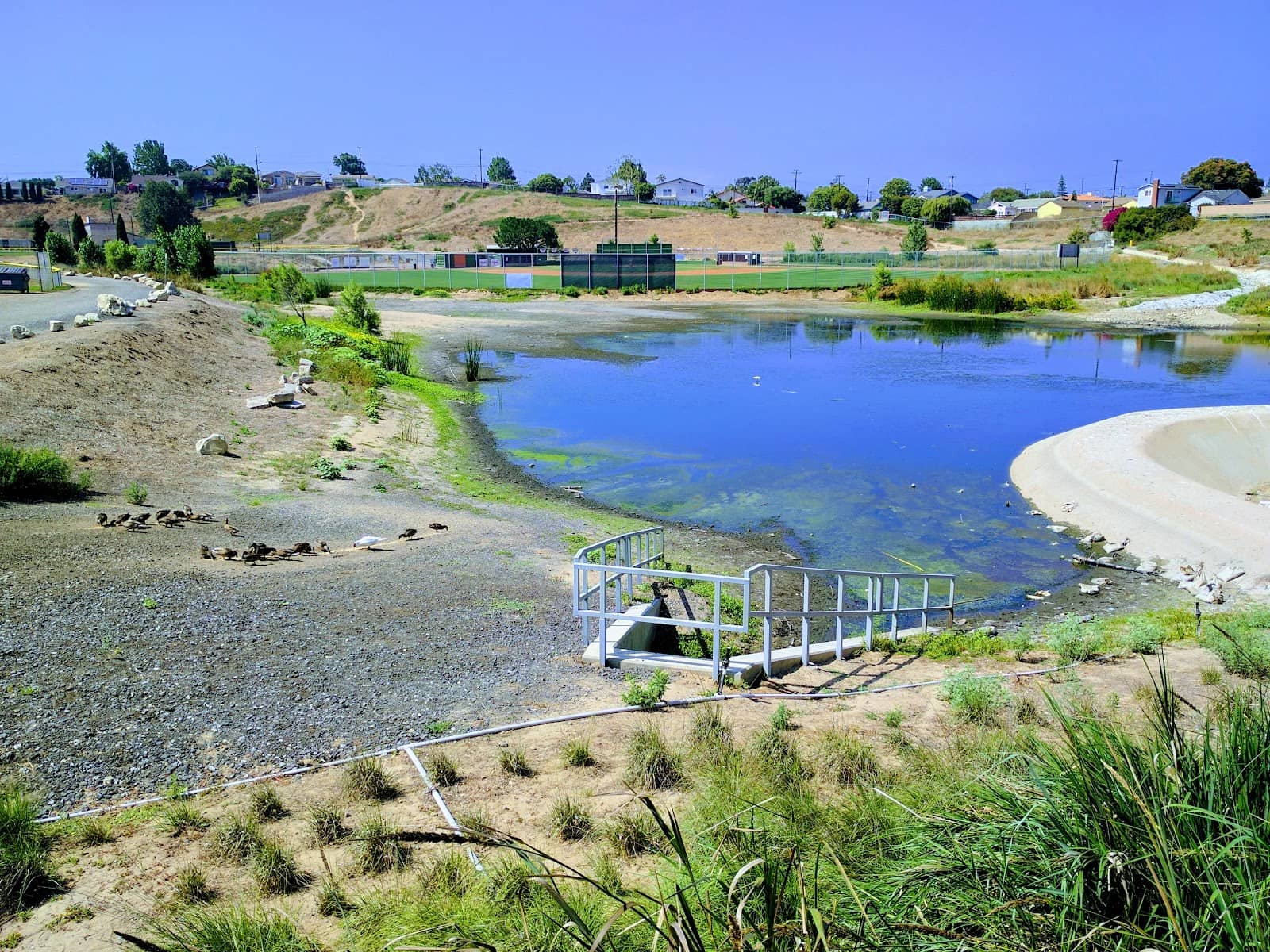 Picnic & Grill Areas