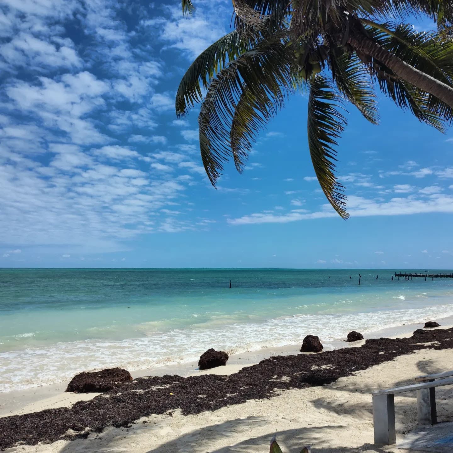Punta Allen - Image 1