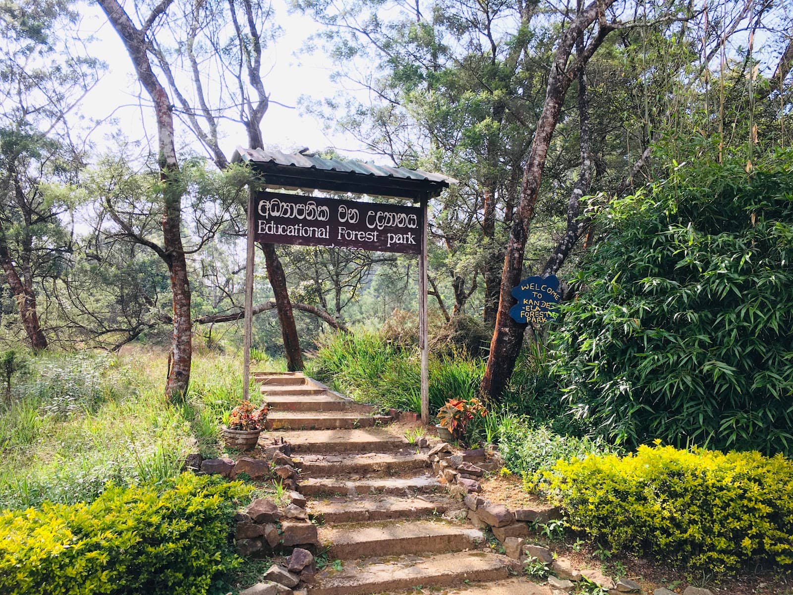 Kande Ela Lake Views