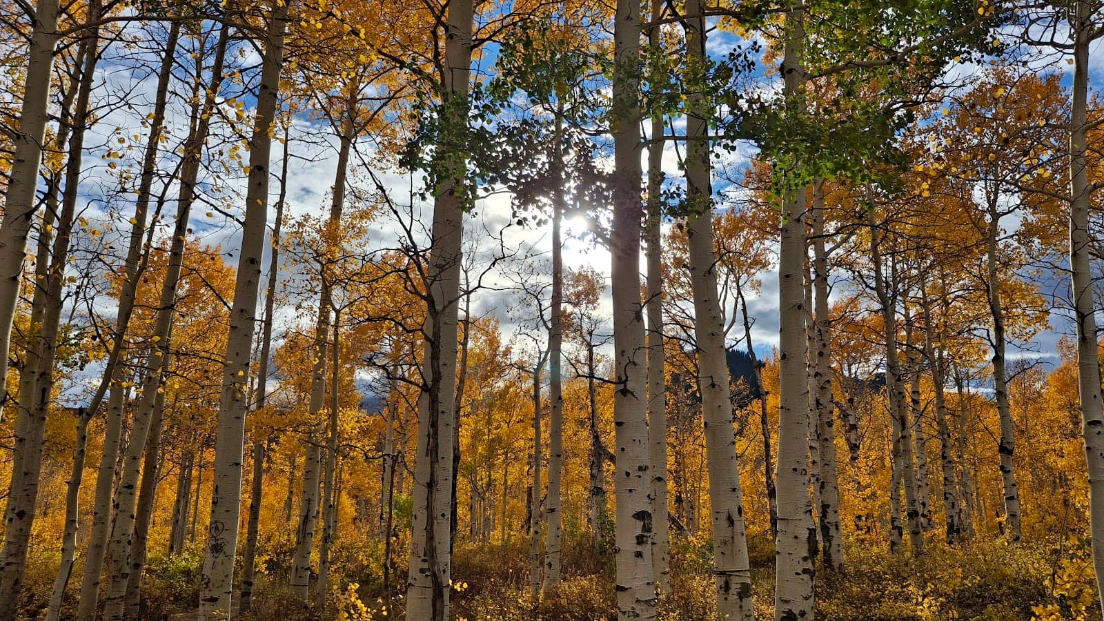 Vertical photo