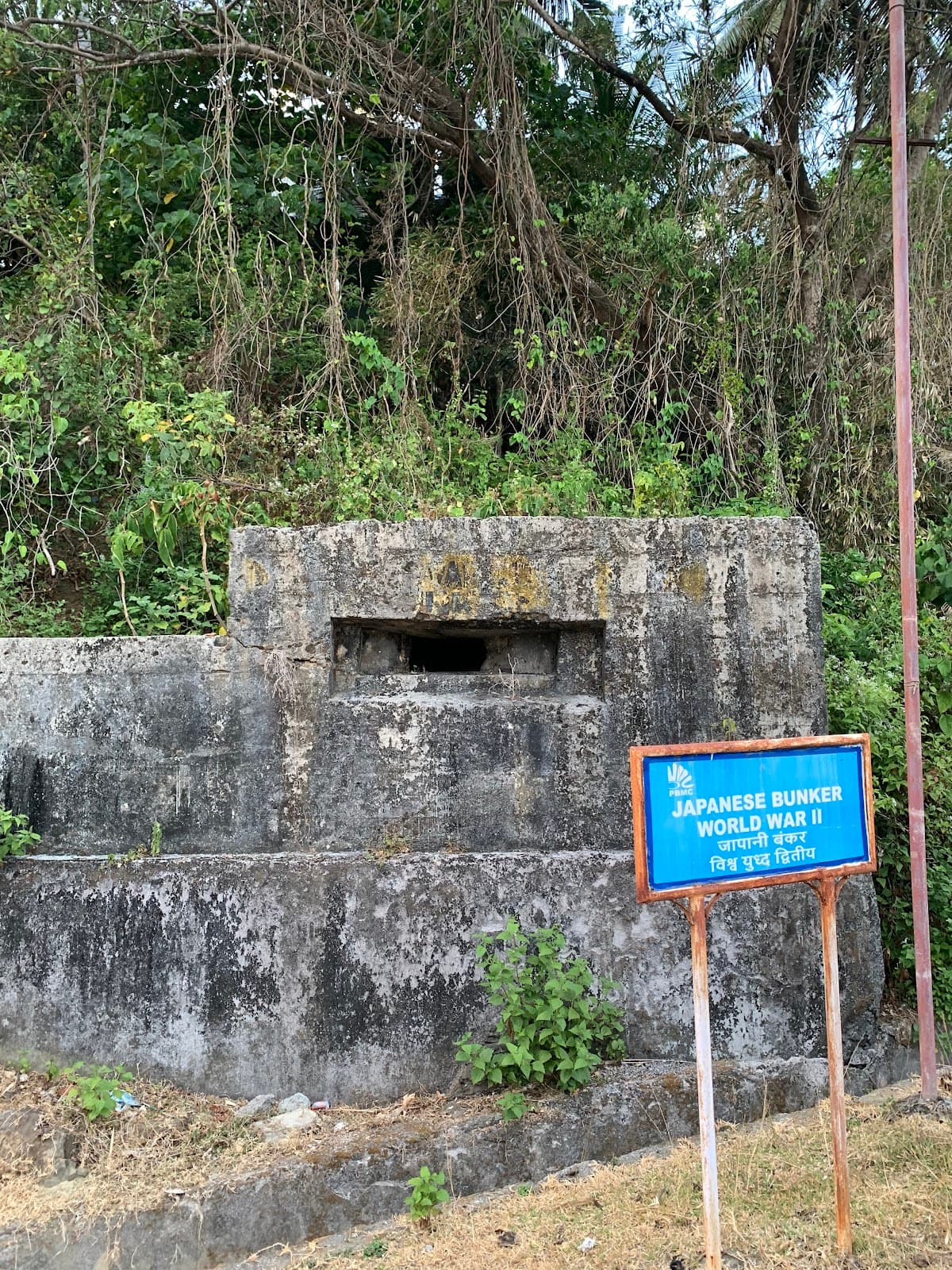 Japanese Bunkers Corbyn's Cove - Image 1
