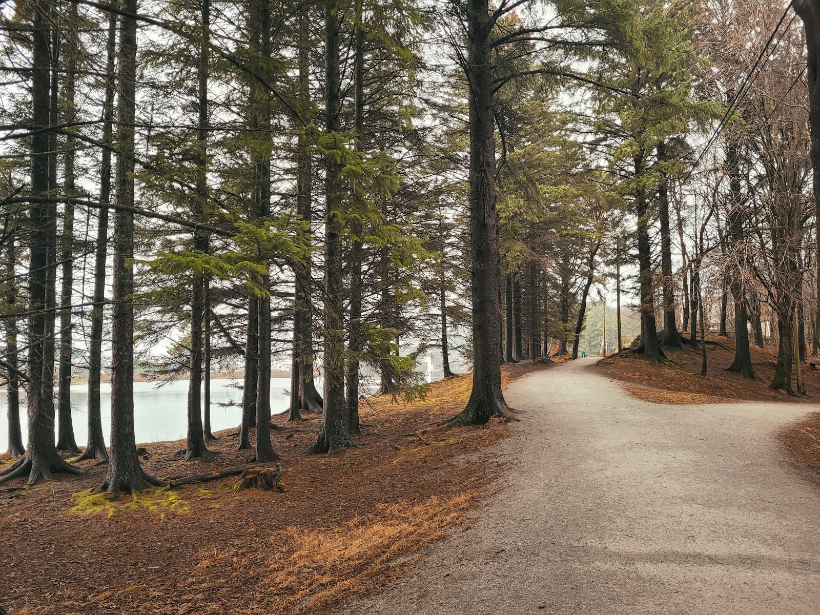 Haraldsvang Park & Skeisvatnet - Image 1