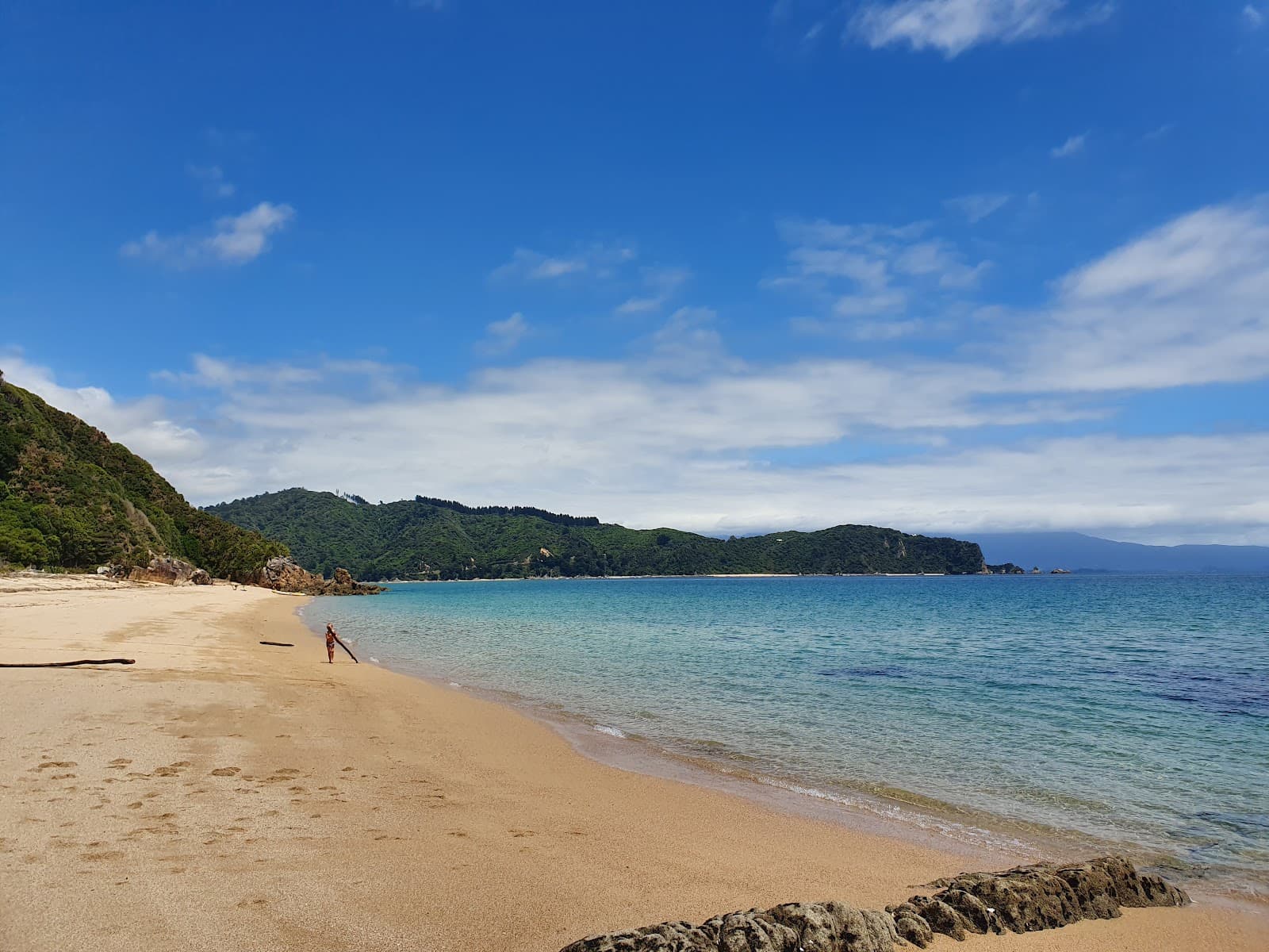 Wainui Bay - Image 1