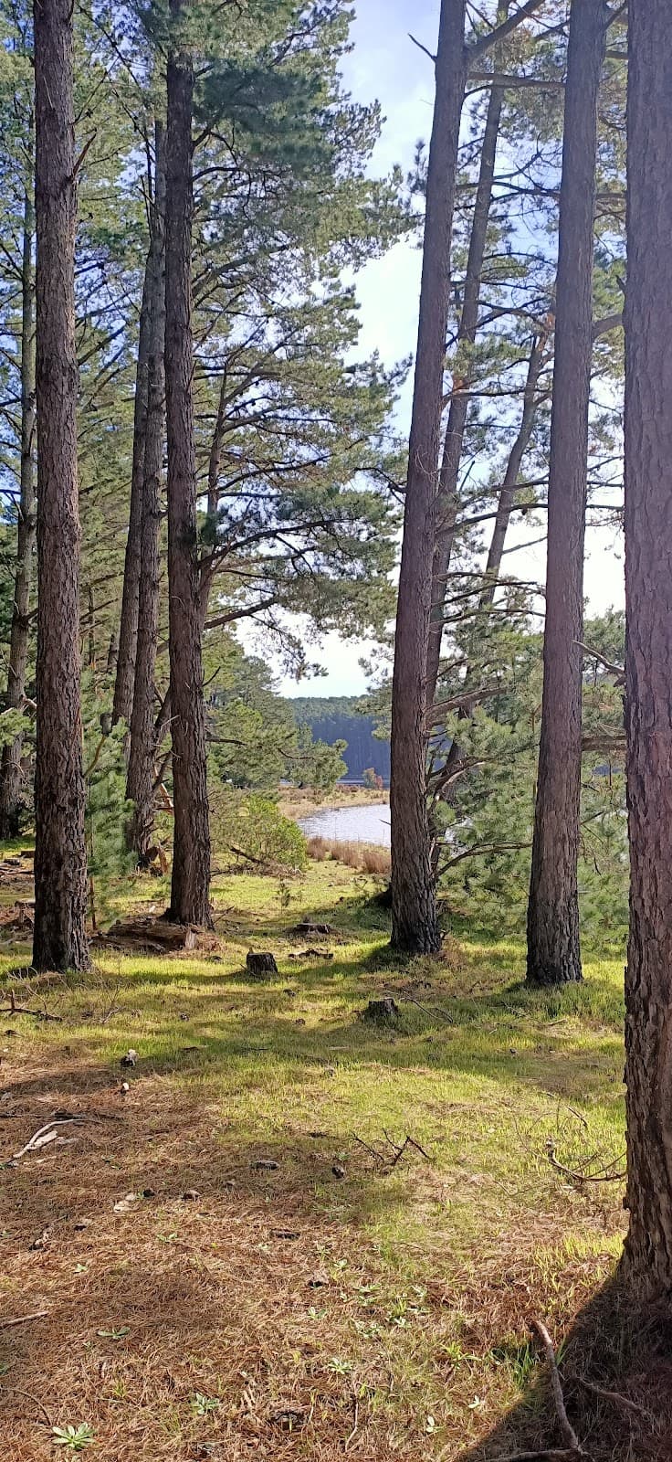 Myponga Reservoir Reserve - Image 1
