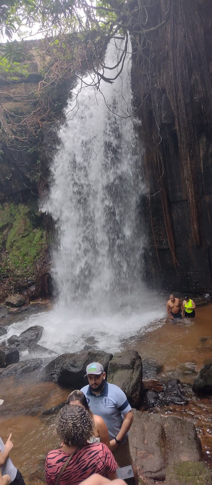 Parque do Quineira - Image 1