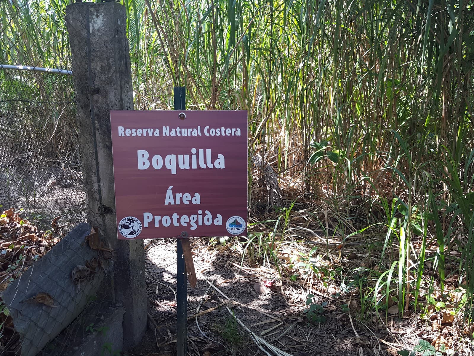 Boquilla Nature Reserve - Image 1