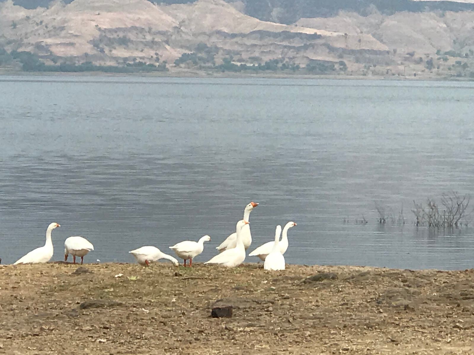 Dhom Dam Lake - Image 1