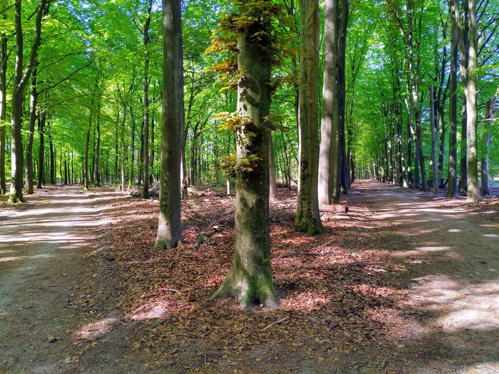 Vertical photo