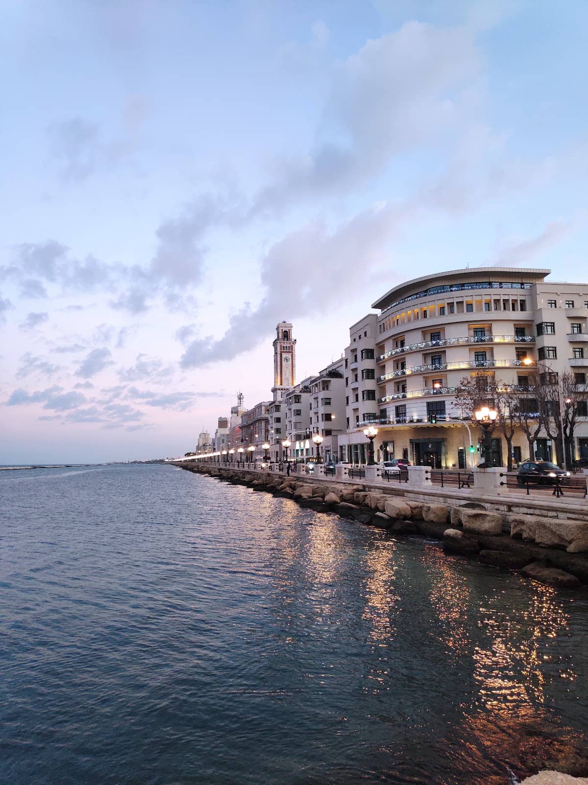 Christmas Tree Spectacle