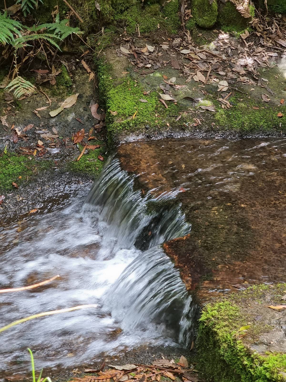 Vertical photo