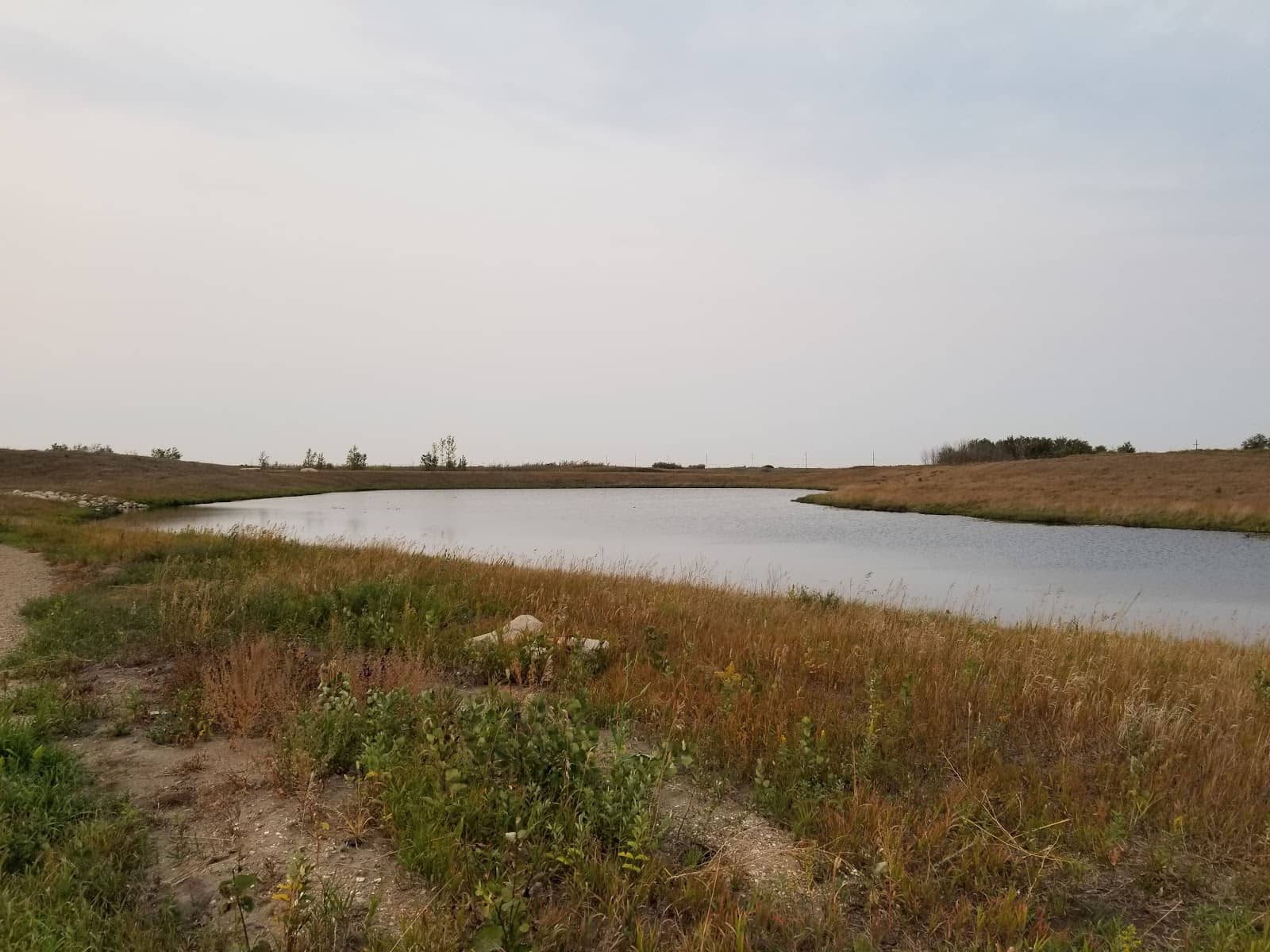 Conservation Grazing Demonstrations