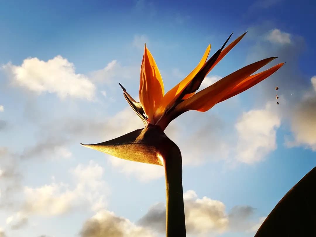 Ozato District - Image 1