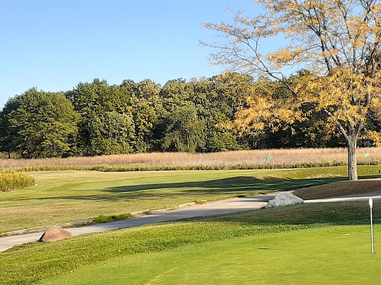 Challenging Greens