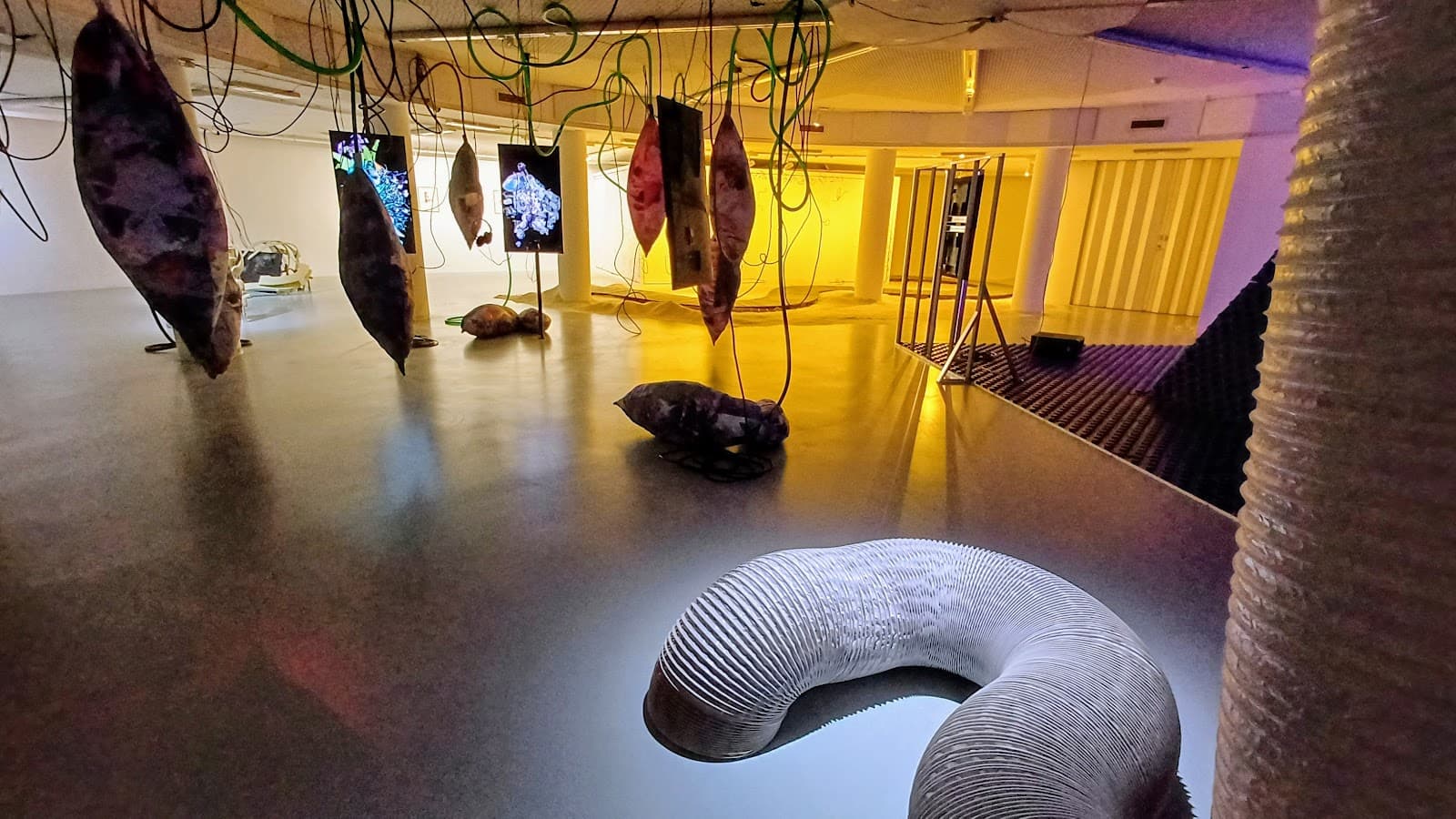 Nova Gorica City Gallery - Image 1