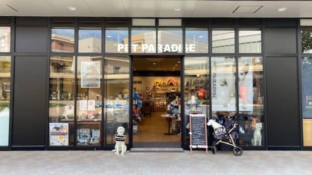 Disney-Themed Pet Products