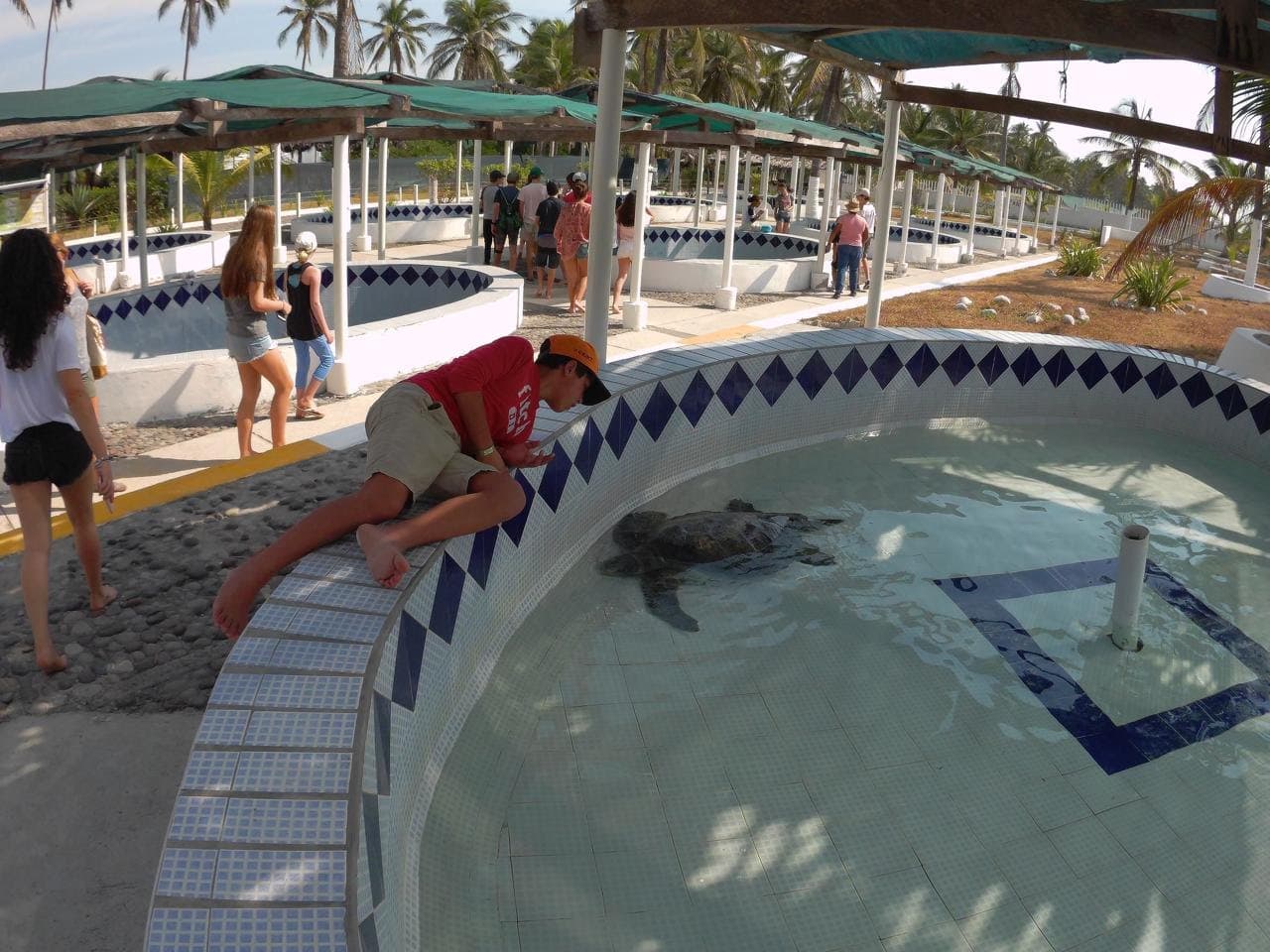 Tortugario de Cuyutlán - Image 1