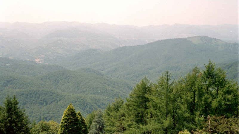 Señorío de Bertiz Natural Park - Image 1