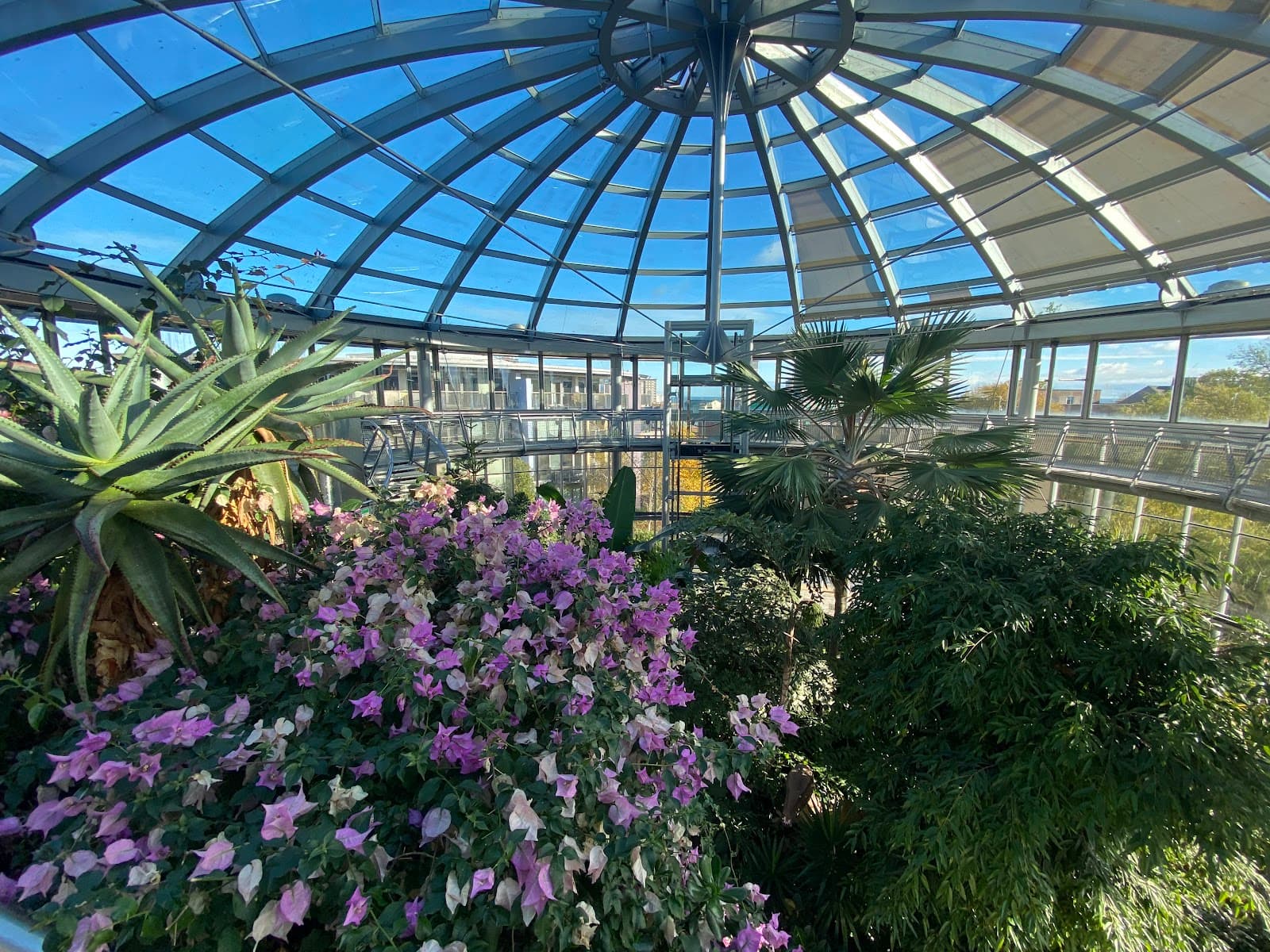Sunderland Museum & Winter Gardens - Image 1