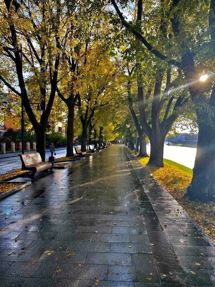 Green Spaces and Seating