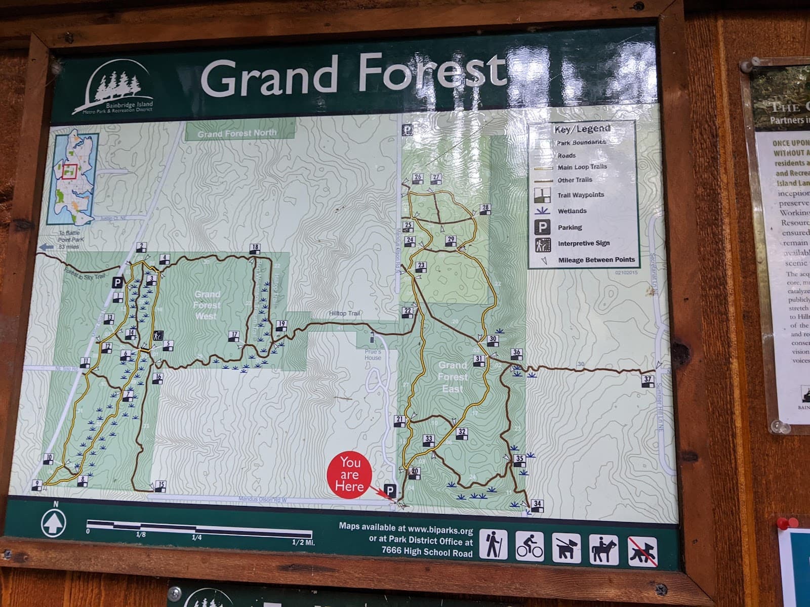 Grand Forest East - Image 1