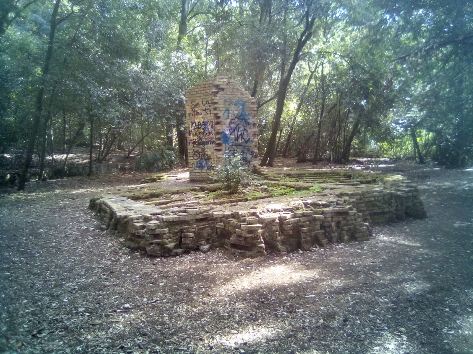 Expansive Green Spaces