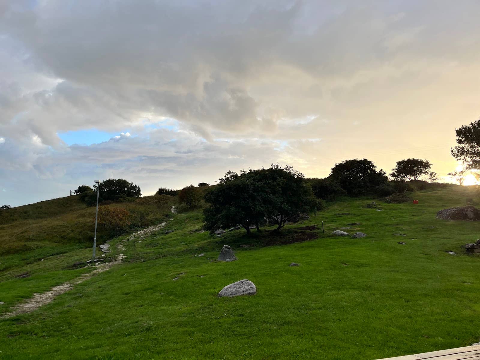 Birdwatching Paradise