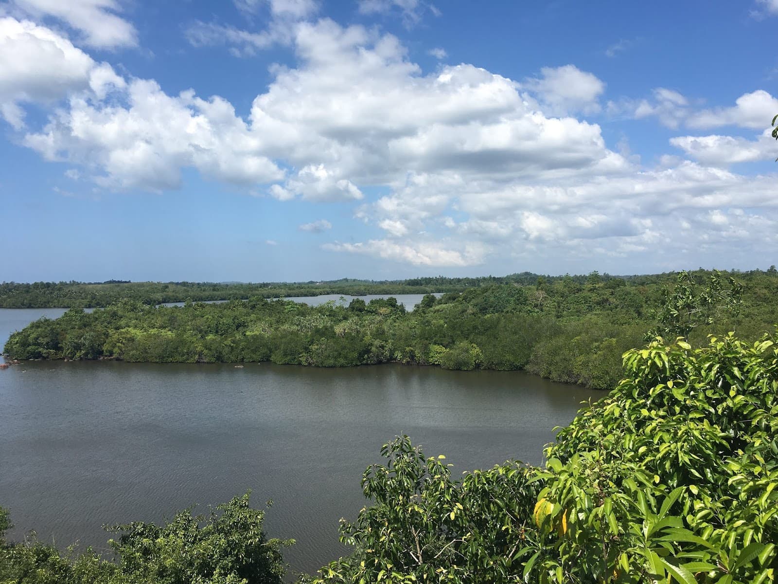 Hikkaduwa Lake - Image 1