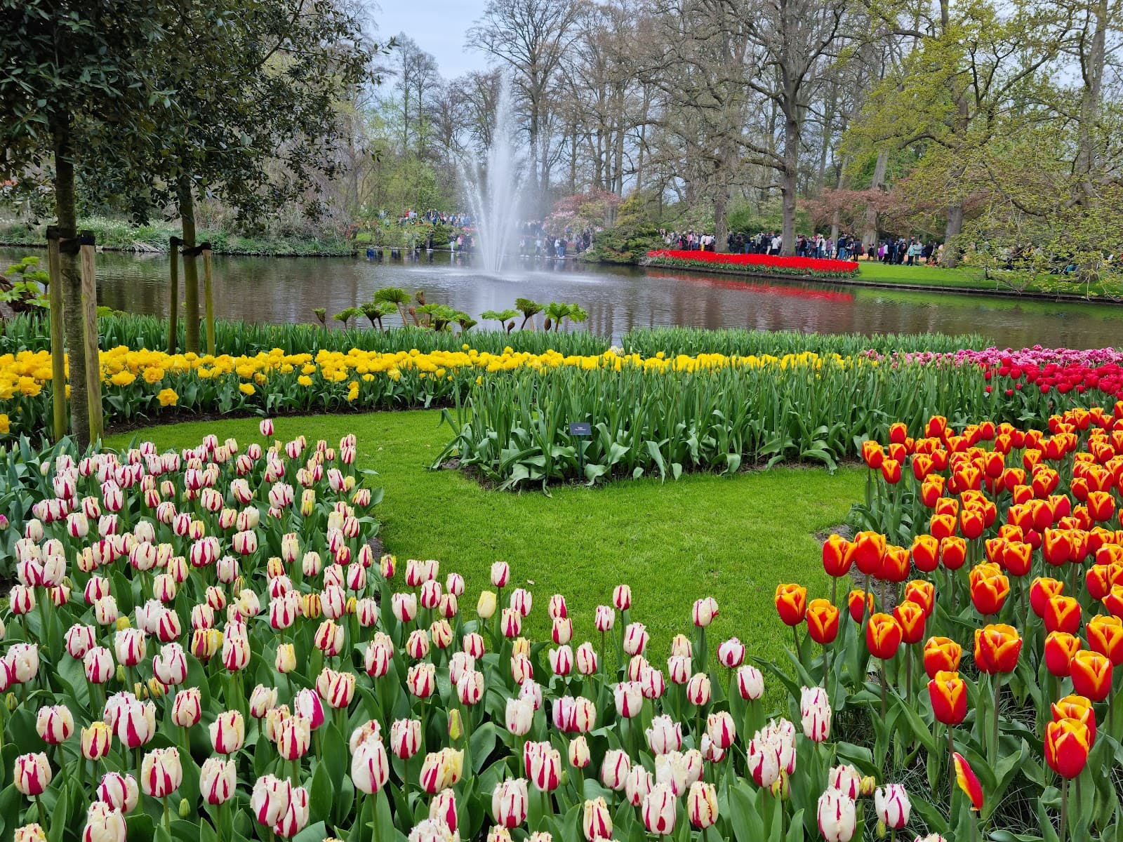 Keukenhof - Image 1